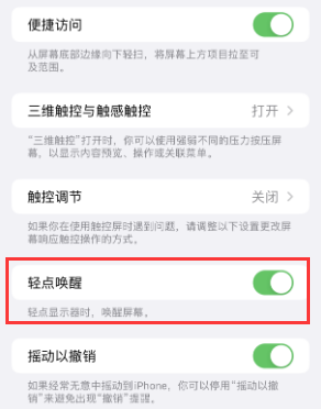 盐源苹果授权维修站分享iPhone轻点无法唤醒怎么办 