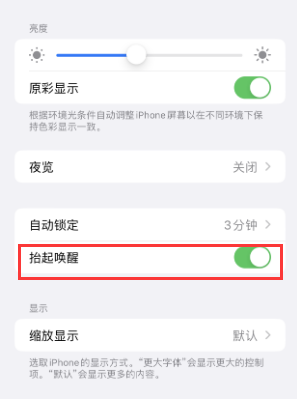 盐源苹果授权维修站分享iPhone轻点无法唤醒怎么办