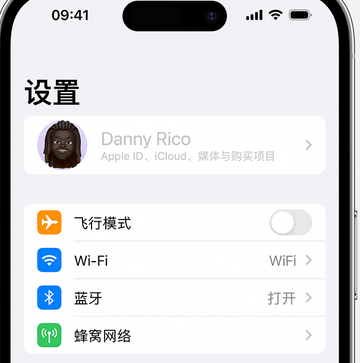 盐源appleID维修服务iPhone设置中Apple ID显示为灰色无法使用 