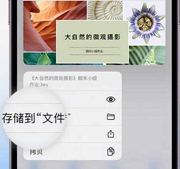 盐源apple维修中心分享iPhone文件应用中存储和找到下载文件