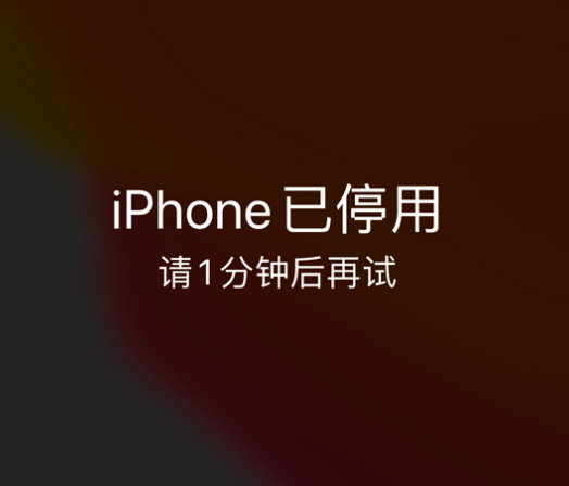 盐源苹果手机维修分享:iPhone 显示“不可用”或“已停用”怎么办？还能保留数据吗？ 