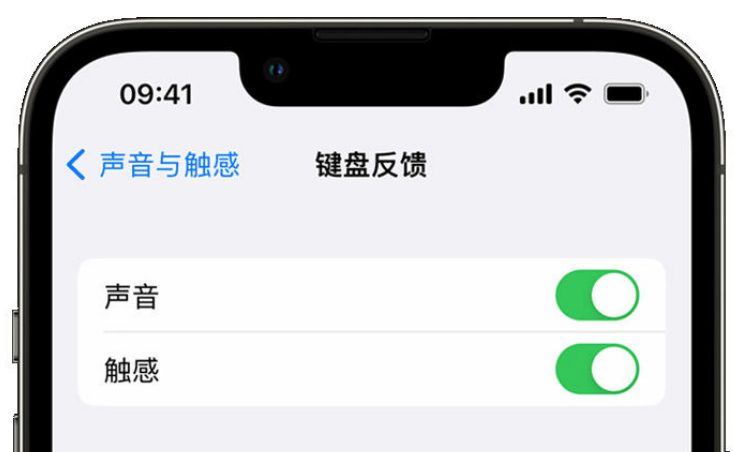 盐源苹果手机维修分享iPhone 14触感键盘使用方法 