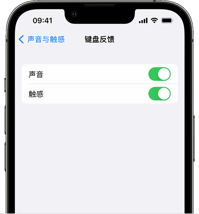 盐源苹果14维修店分享如何在 iPhone 14 机型中使用触感键盘 