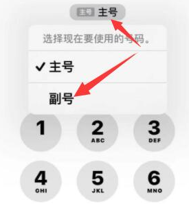 盐源苹果14维修店分享iPhone 14 Pro Max使用副卡打电话的方法 