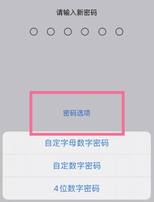 盐源苹果14维修分享iPhone 14plus设置密码的方法 