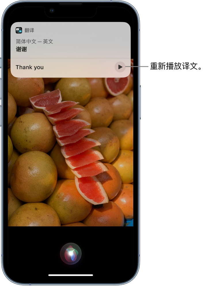 盐源苹果14维修分享 iPhone 14 机型中使用 Siri：了解 Siri 能帮你做什么 