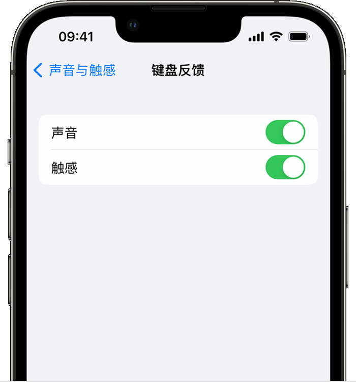 盐源苹果14维修分享iPhone 14 系列机型如何开启键盘声音或触感反馈 