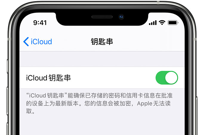 盐源苹果手机维修分享在 iPhone 上开启 iCloud 钥匙串之后会储存哪些信息 