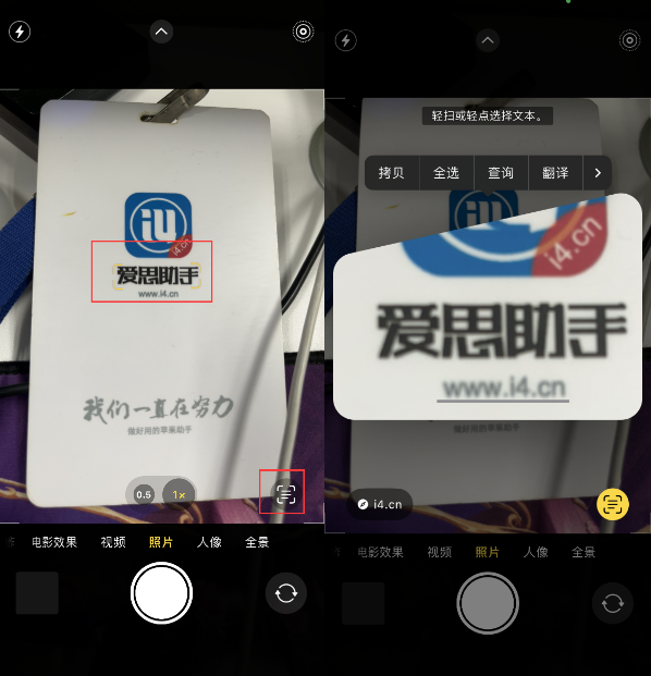 盐源苹果手机维修分享升级iOS 16后如何通过相机翻译文本 