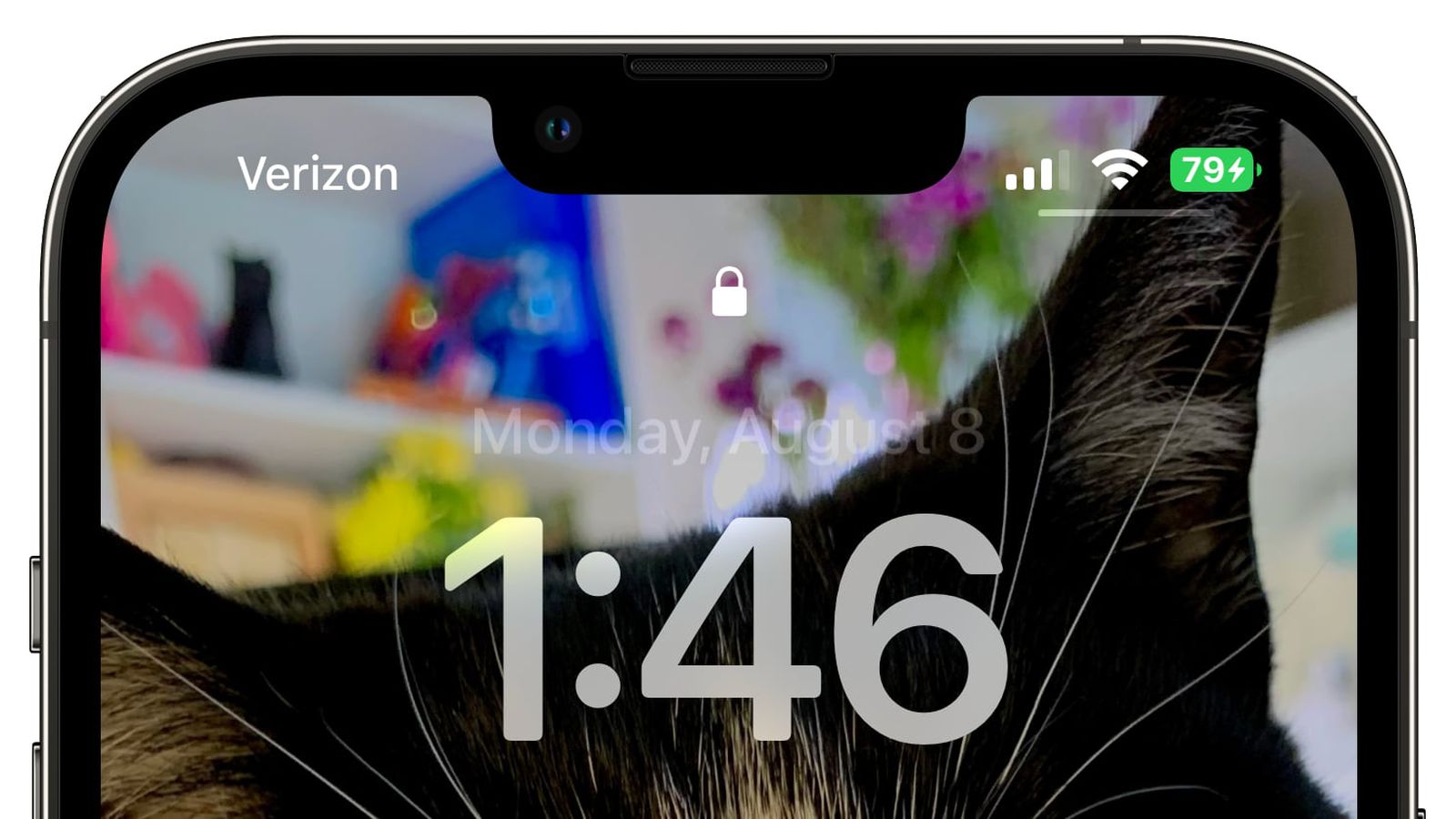 盐源苹果手机维修分享iOS 16 beta 5 支持状态栏显示电池百分比，如何开启？支持哪些机型 