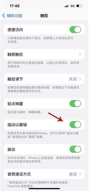 盐源苹果手机维修分享iPhone手机如何设置摇一摇删除文字 