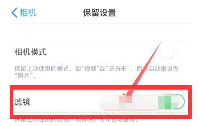 盐源苹果13维修分享iPhone13拍照有绿点是怎么回事 