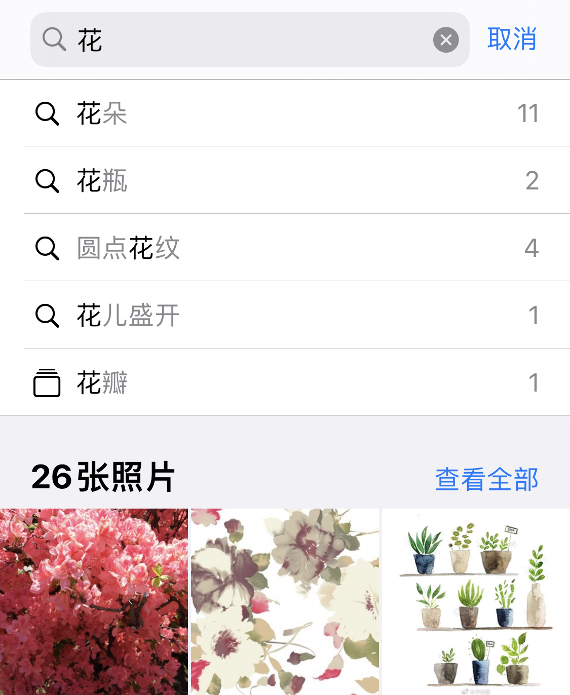 盐源苹果手机维修分享iPhone 小技巧 