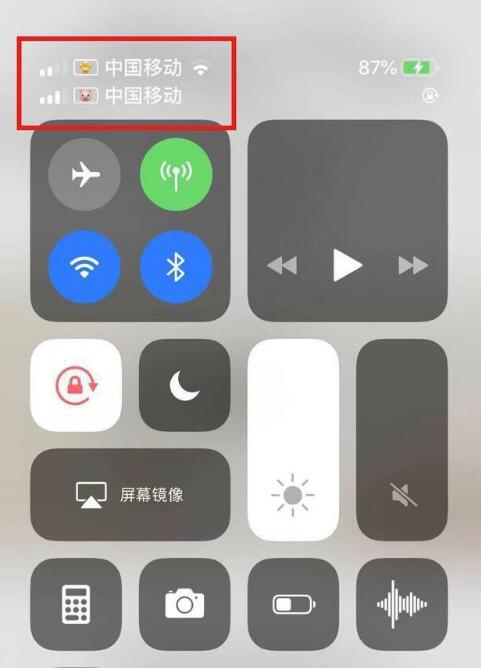 盐源苹果手机维修分享为 iPhone 12 双卡设置标签 