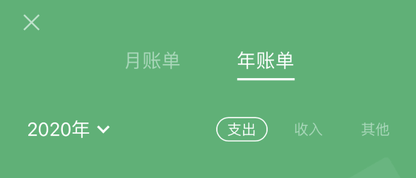 盐源苹果手机维修分享如何在 iPhone 上查看支付宝和微信年支出账单 