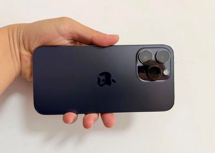 盐源苹果维修点分享iPhone 14 Pro Max黑屏少见故障盘点 